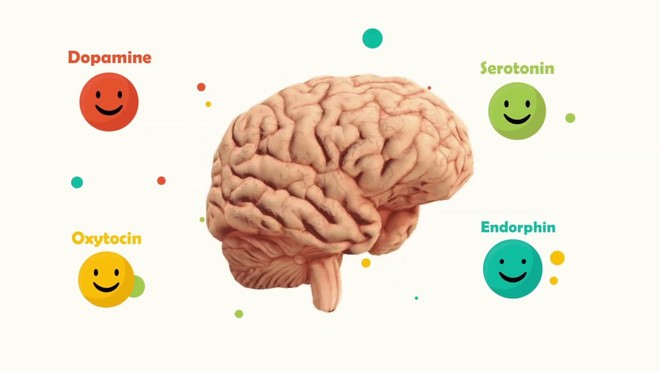 Dopamine là gì? Tìm hiểu về hormone hạnh phúc